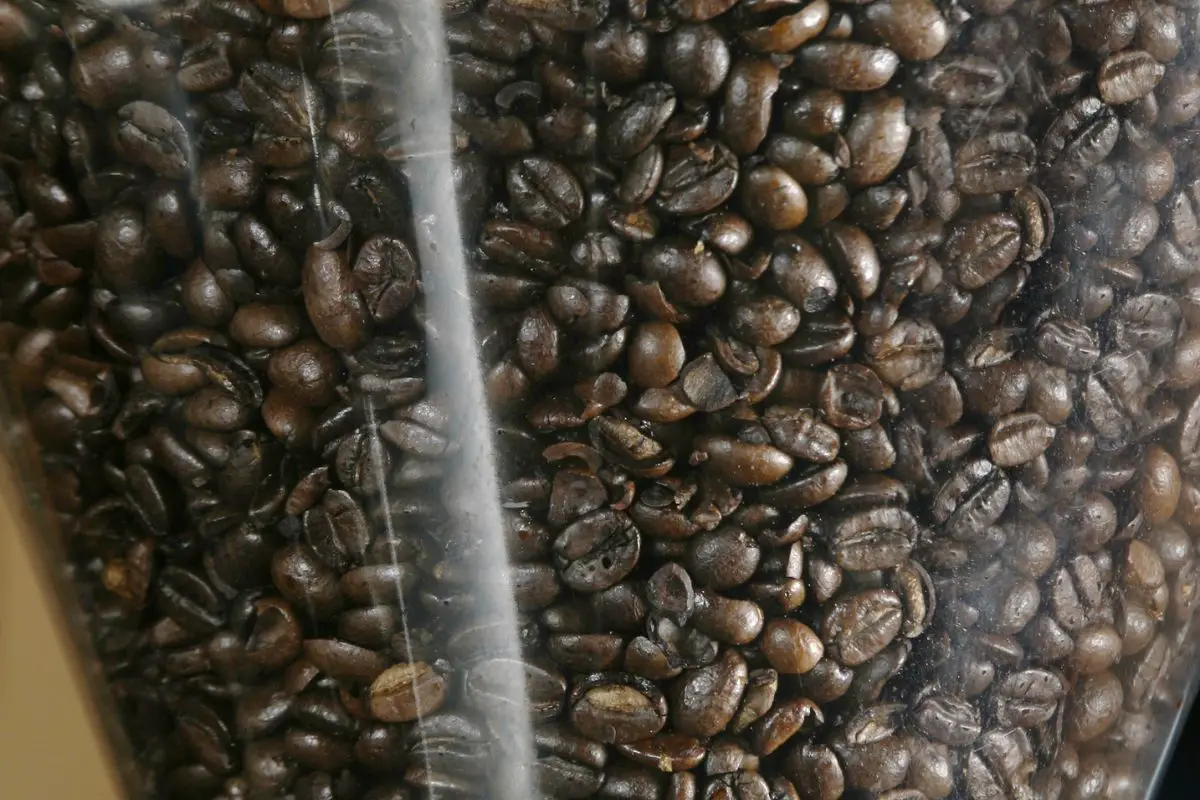 espresso beans
